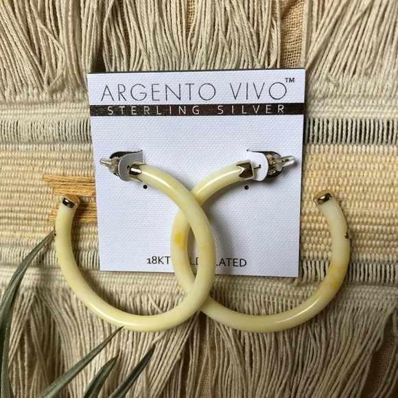 Argento Vivo • Marbleized Resin Hoop Earrings - Picture 2 of 5